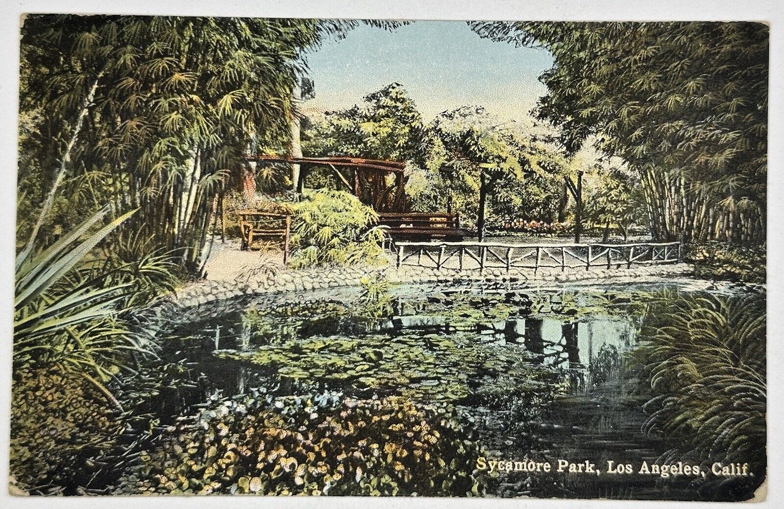 Antique 1923 Sycamore Park Postcard Los Angeles California CA