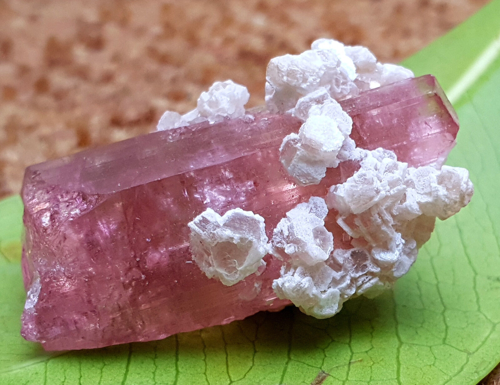 Very Unique Quality Beautiful Color Tourmaline Crystal Specimen 54 Carats