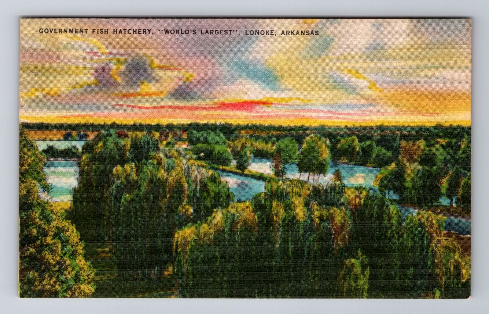 Lonoke AR- Arkansas, Aerial Government Fish Hatchery, Antique, Vintage Postcard