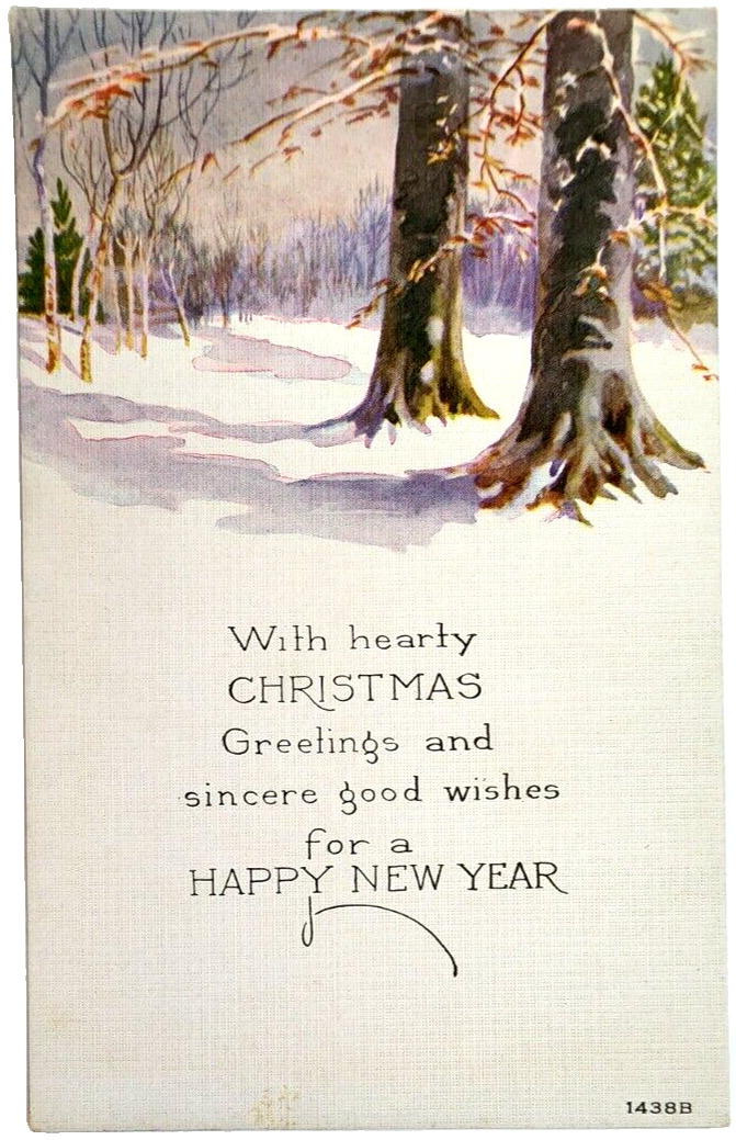 Postcard Wish Hearty Christmas Greetings Happy New Year Owen Card Pub. Co.