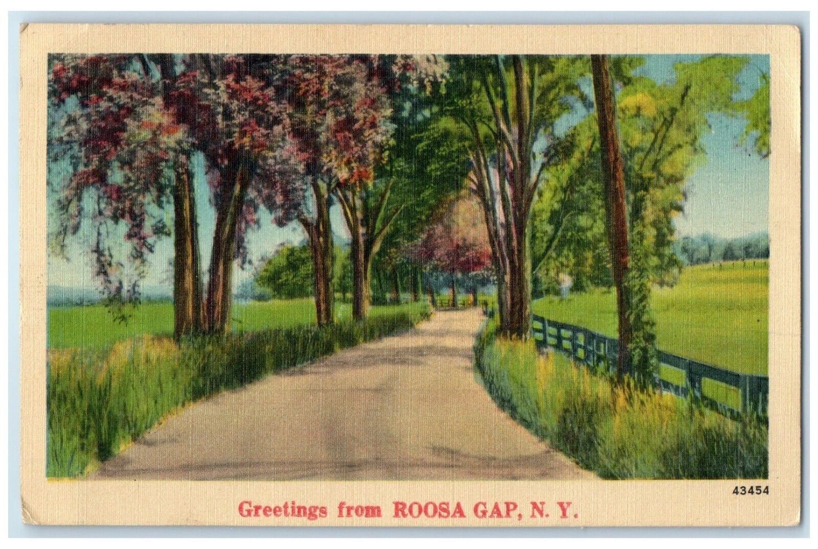 1940 Greetings From Road Trees Field Roosa Gap New York Vintage Antique Postcard