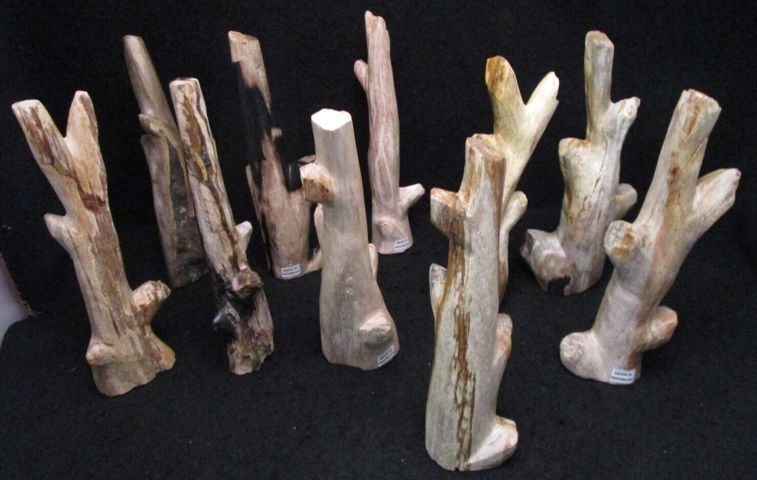 1 Miocene Fossil Petrified Wood Branch Indonesia