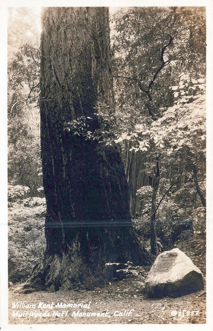 MILL VALLEY CA - William Kent Memorial Muir Woods Real Photo Postcard rppc
