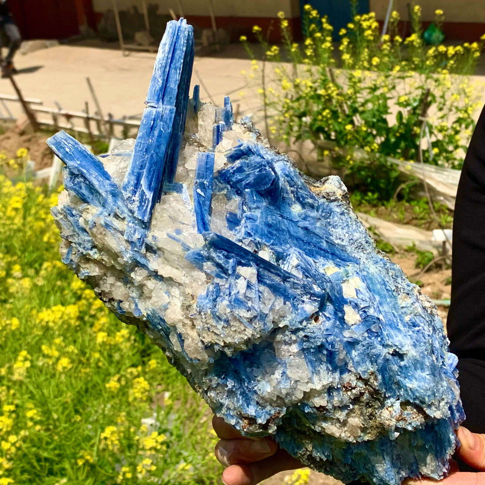 10.78LB Rare Natural beautiful Blue KYANITE with Quartz Crystal Specim   