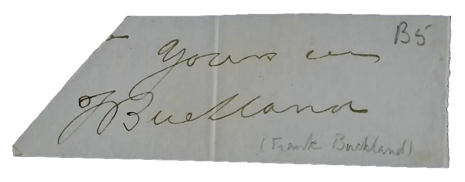 RARE “British Naturalist” Francis Trevelyan Buckland Cut Signature