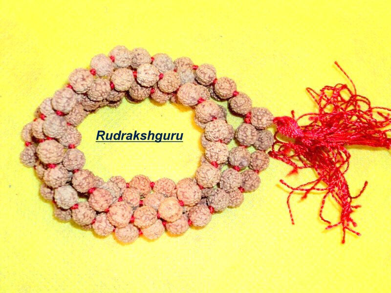 Rare 6 Mukhi Rudraksha Mala / Mars Mala - 109 Beads - Lab Certified