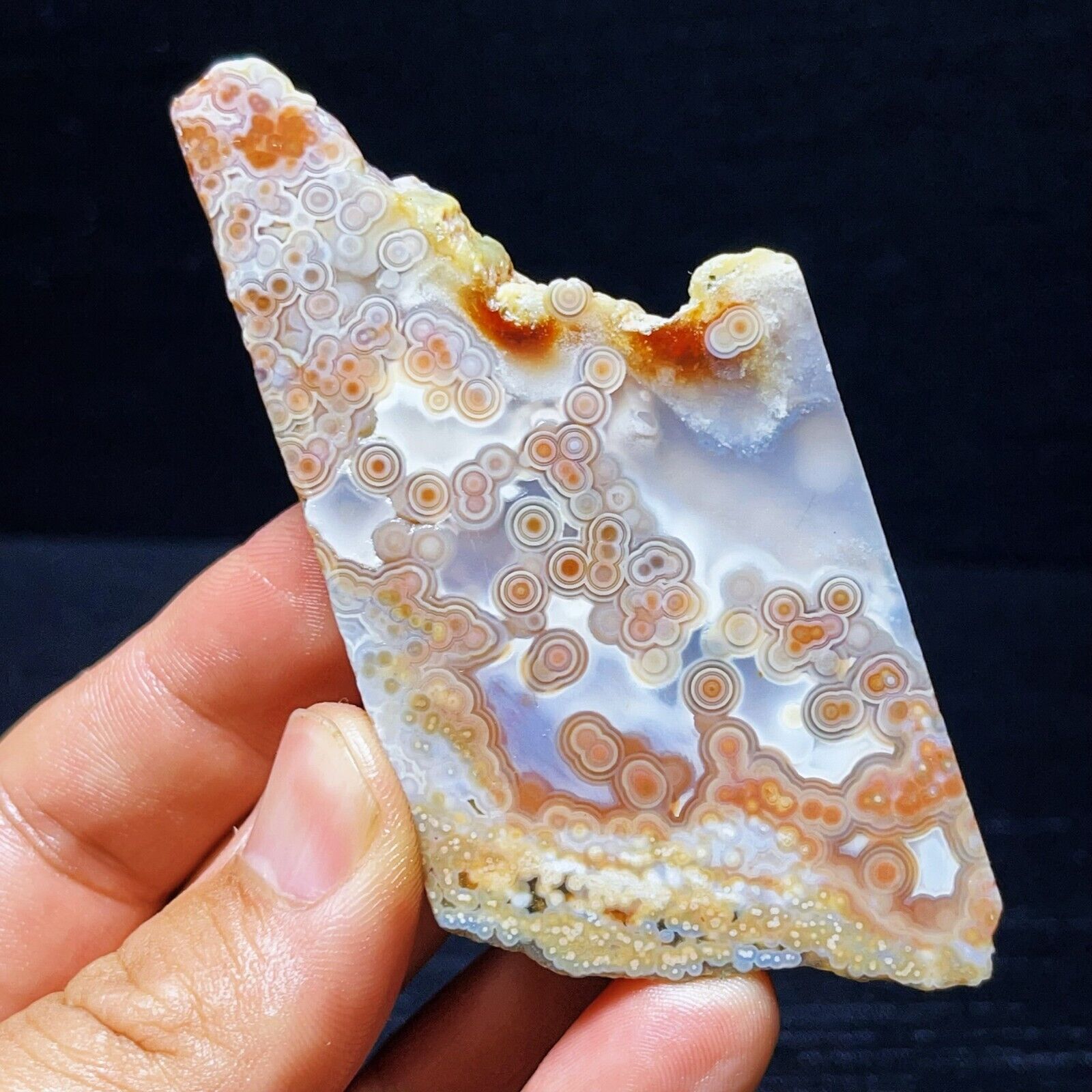TOP 63G Natural Orbicular  Ocean Jasper  Crystal  Stone Healing L1981