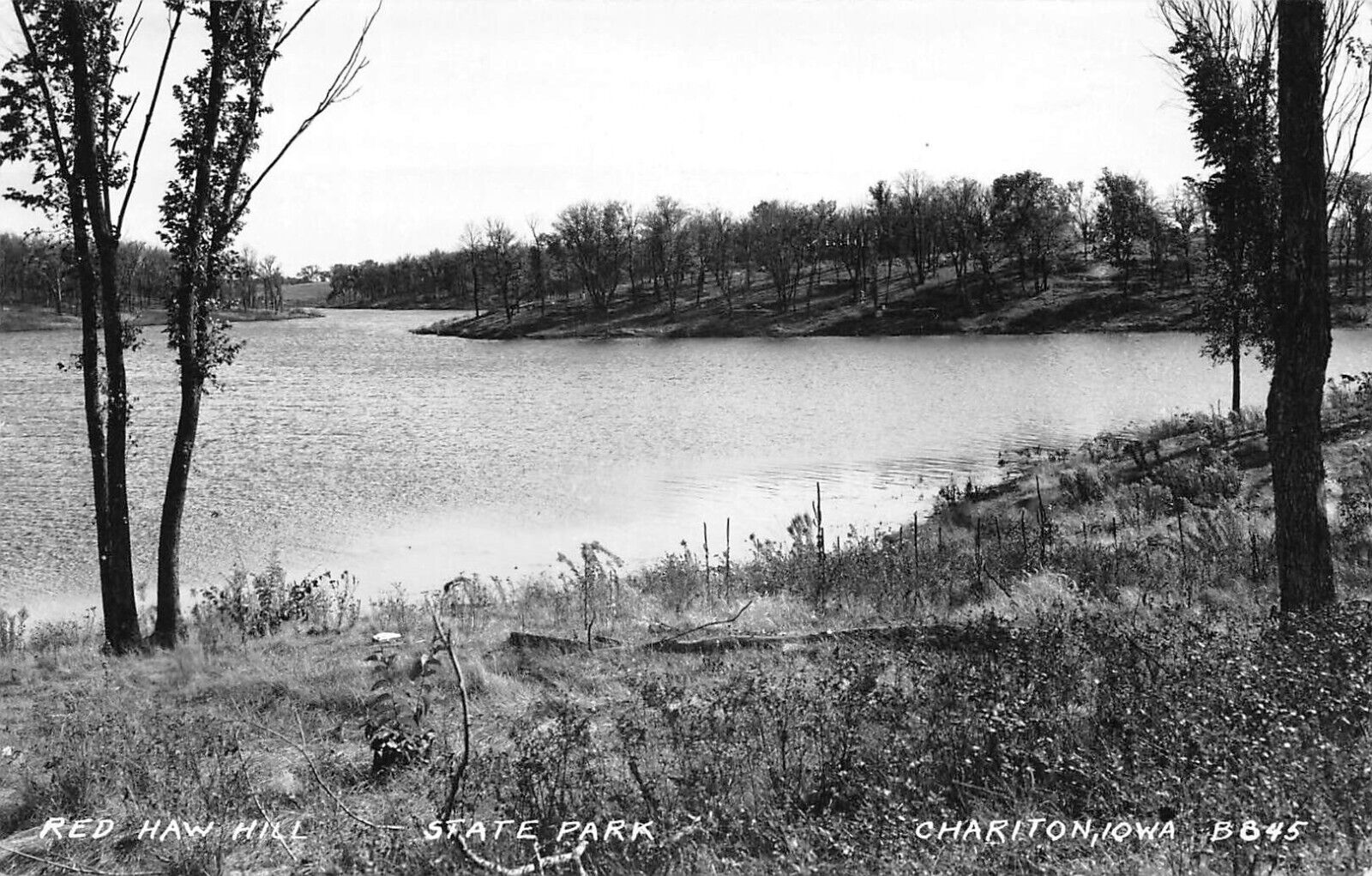 Red Haw Hill State Park Chariton Iowa RPPC Lake Photo Postcard