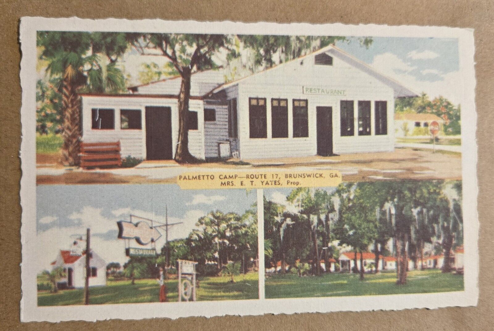 Vintage Postcard Palmetto Camp  Route 17 Brunswick, GA Roadside J28
