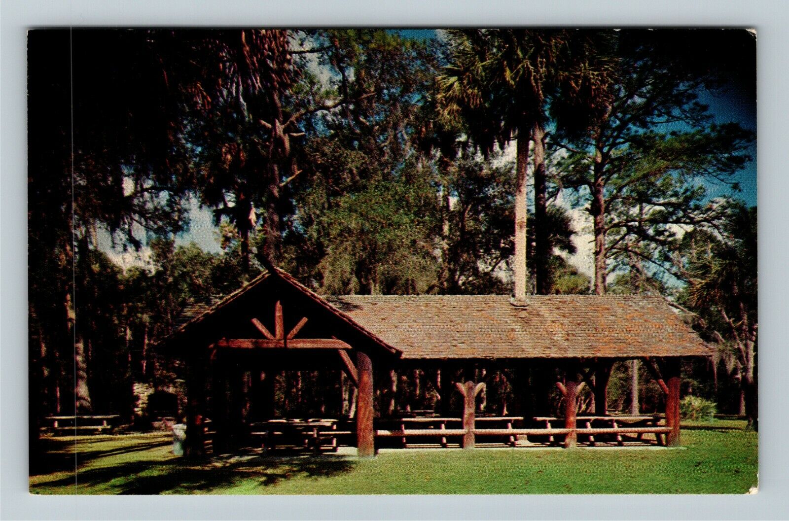 Ocala National Forest FL-Florida, Juniper Springs, c1967 Vintage Postcard