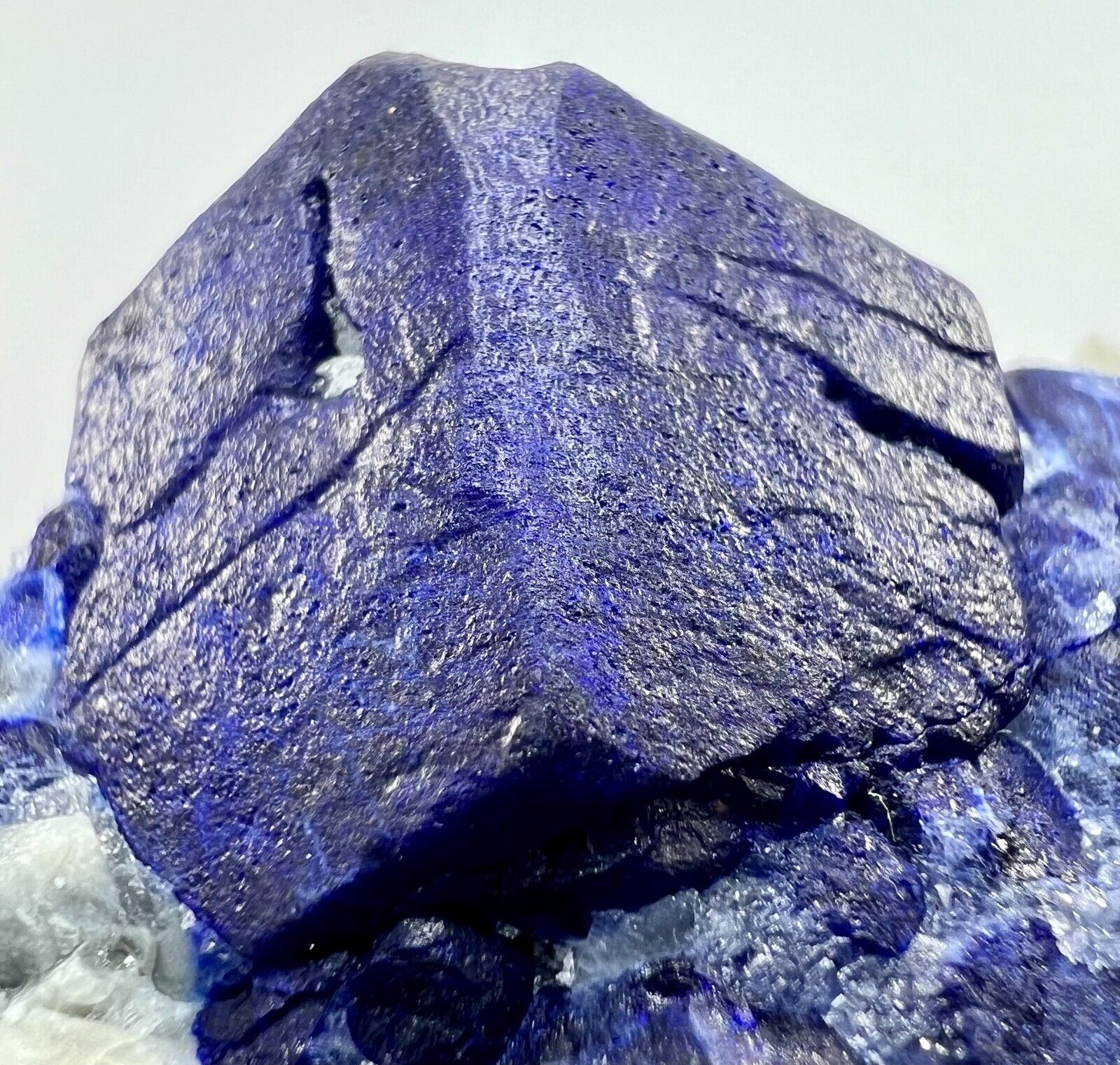 140 GM Full Terminate Lazurite Huge Crystal With Phlogopite On Matrix From @AFG.