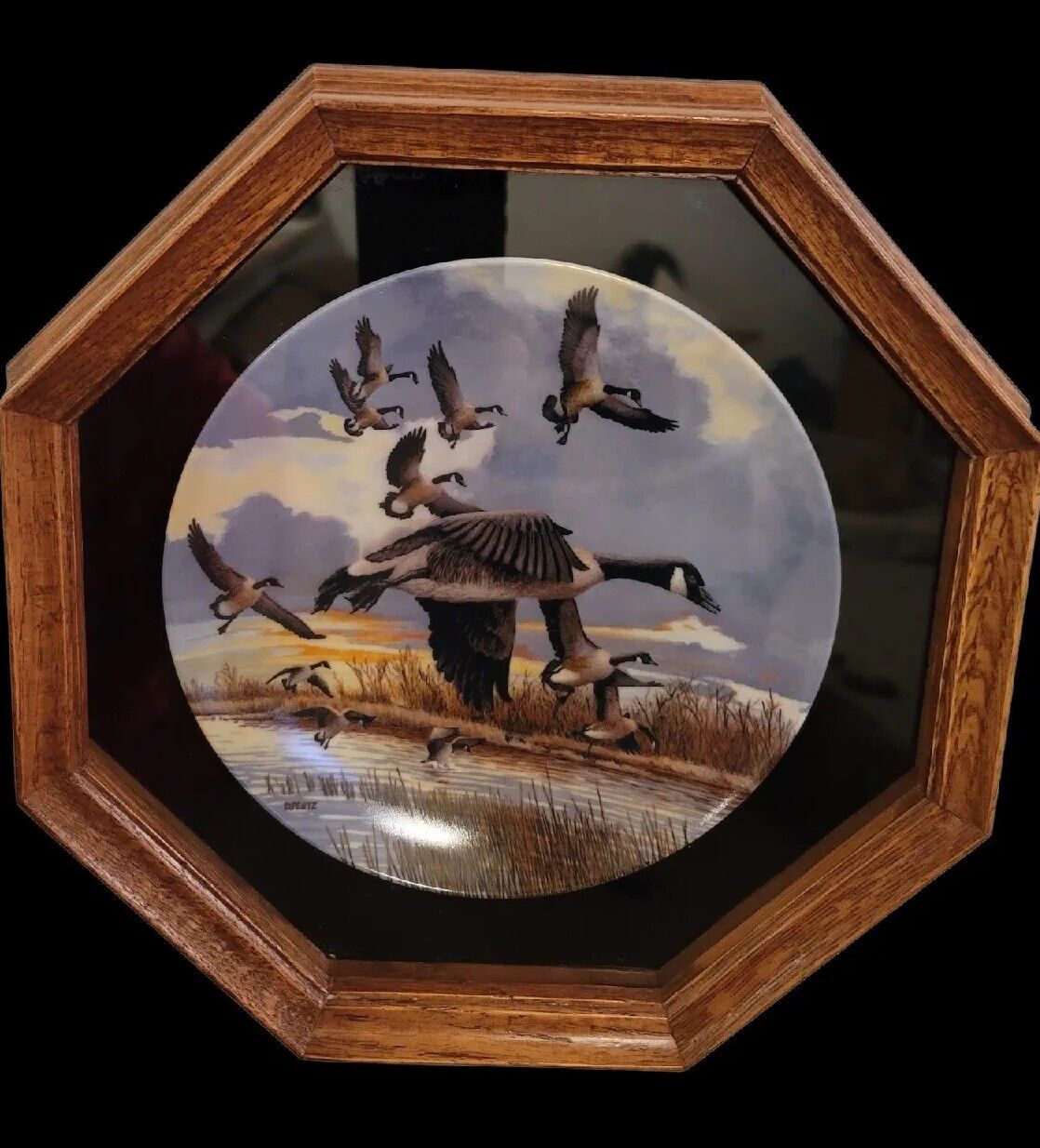 The Landing Donald Pentz Limited Edition Dominion Framed Porcelain Plate Nice