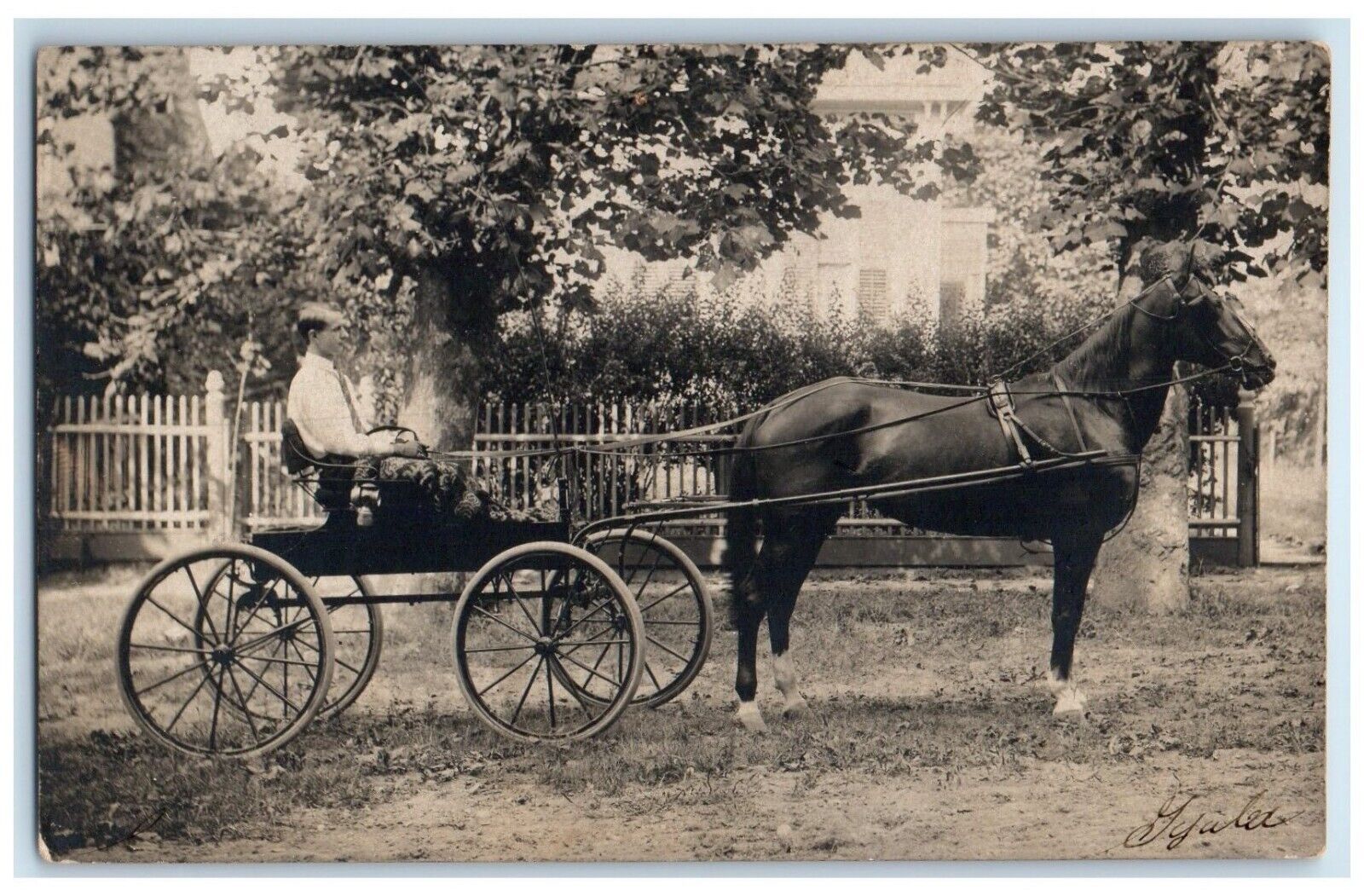 1907 Horse And Wagon Sac Harbor New York NY RPPC Photo Posted Antique Postcard