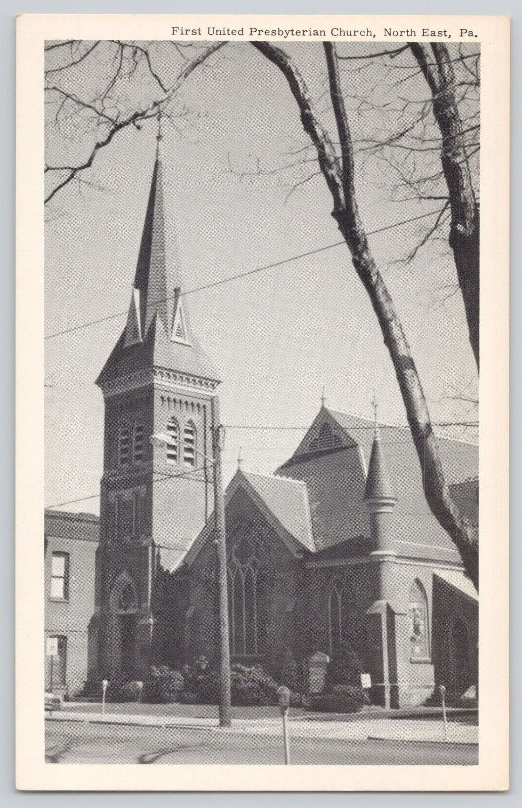 Postcard First United Presbyterian Church, North East, Pa.