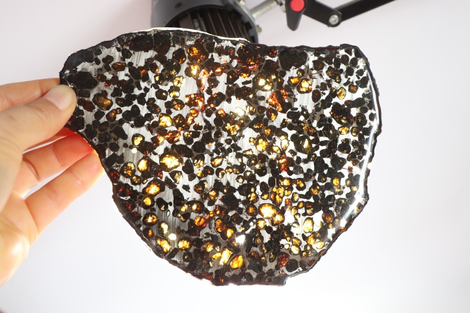 205g Slice meteorites, Rare slices of Kenyan Pallasite olive meteorite B2682