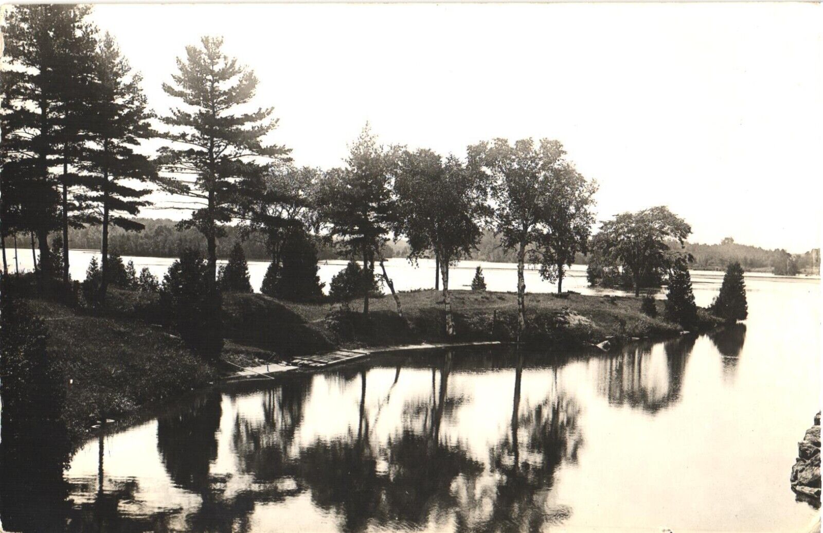 An Old Photograph of Beautiful Trees On A Serene Lake Postcard