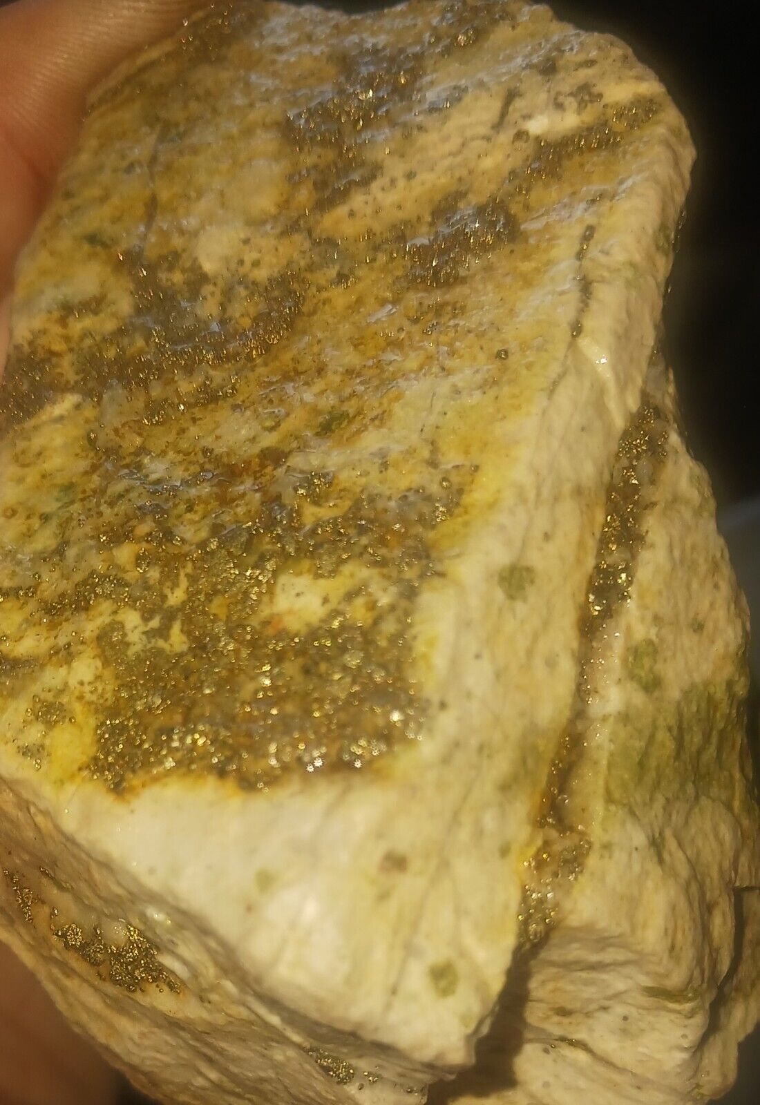 419.573 Grams Rare Motherlode Bonanza Grade Vein Gold Ore Estimated @ 1.95% Gold