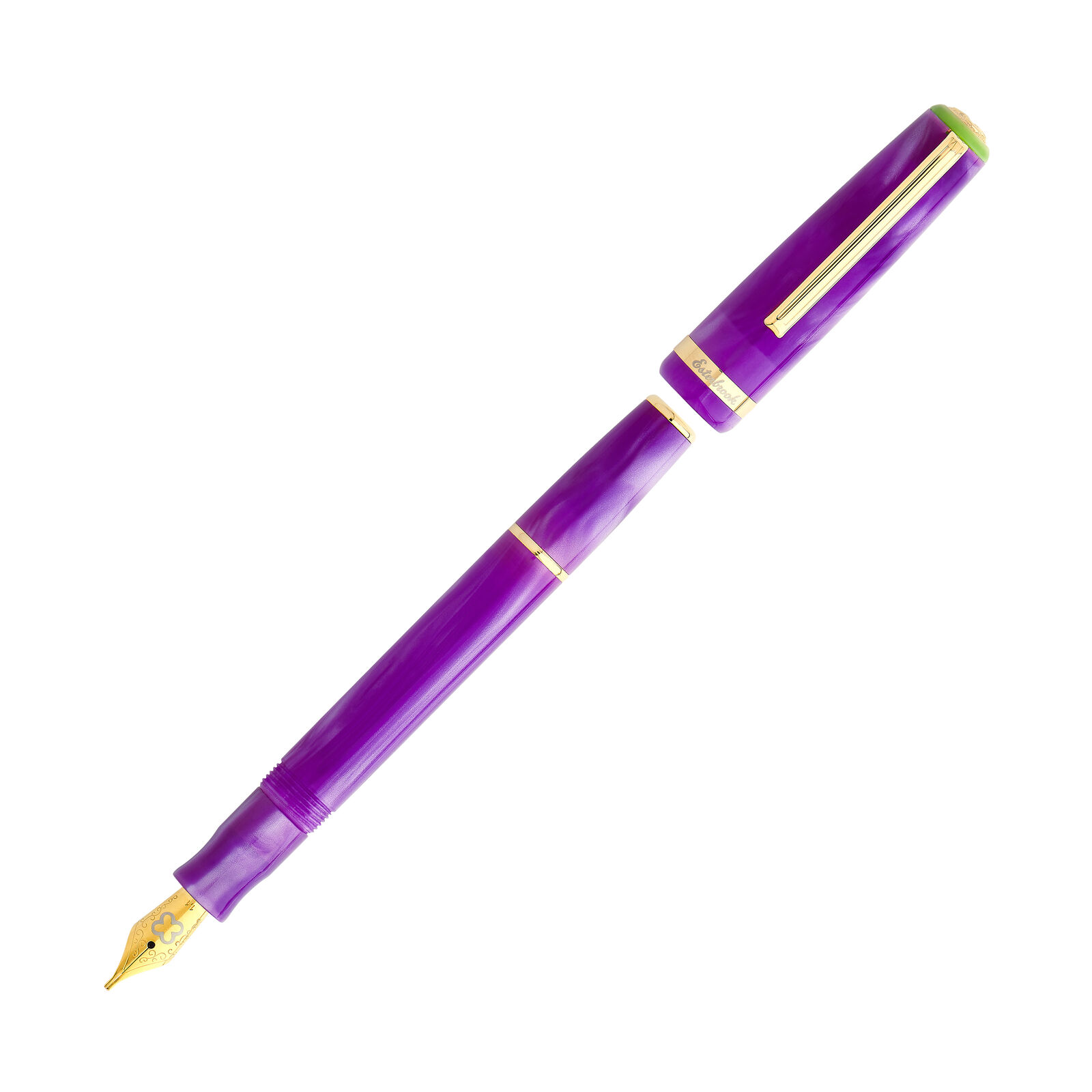 Esterbrook JR Paradise Fountain Pen in Purple Passion - Custom Gena Journaler