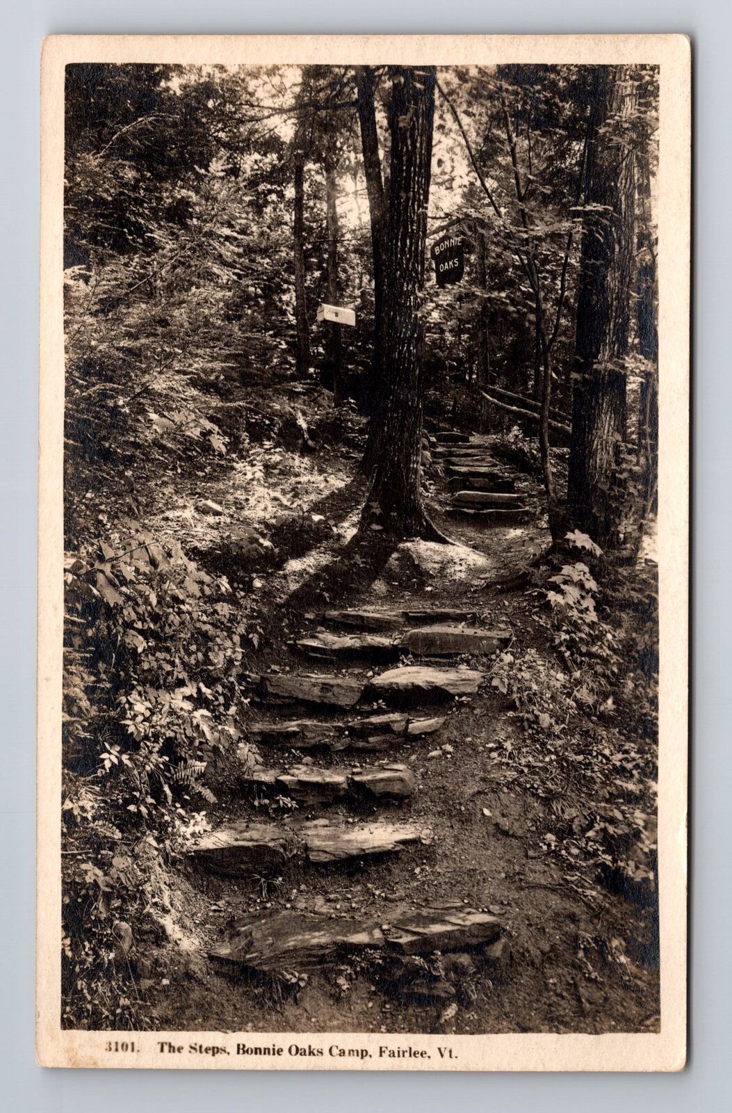 Fairlee VT-Vermont RPPC, The Steps, Bonnie Oaks Camp, Vintage Postcard