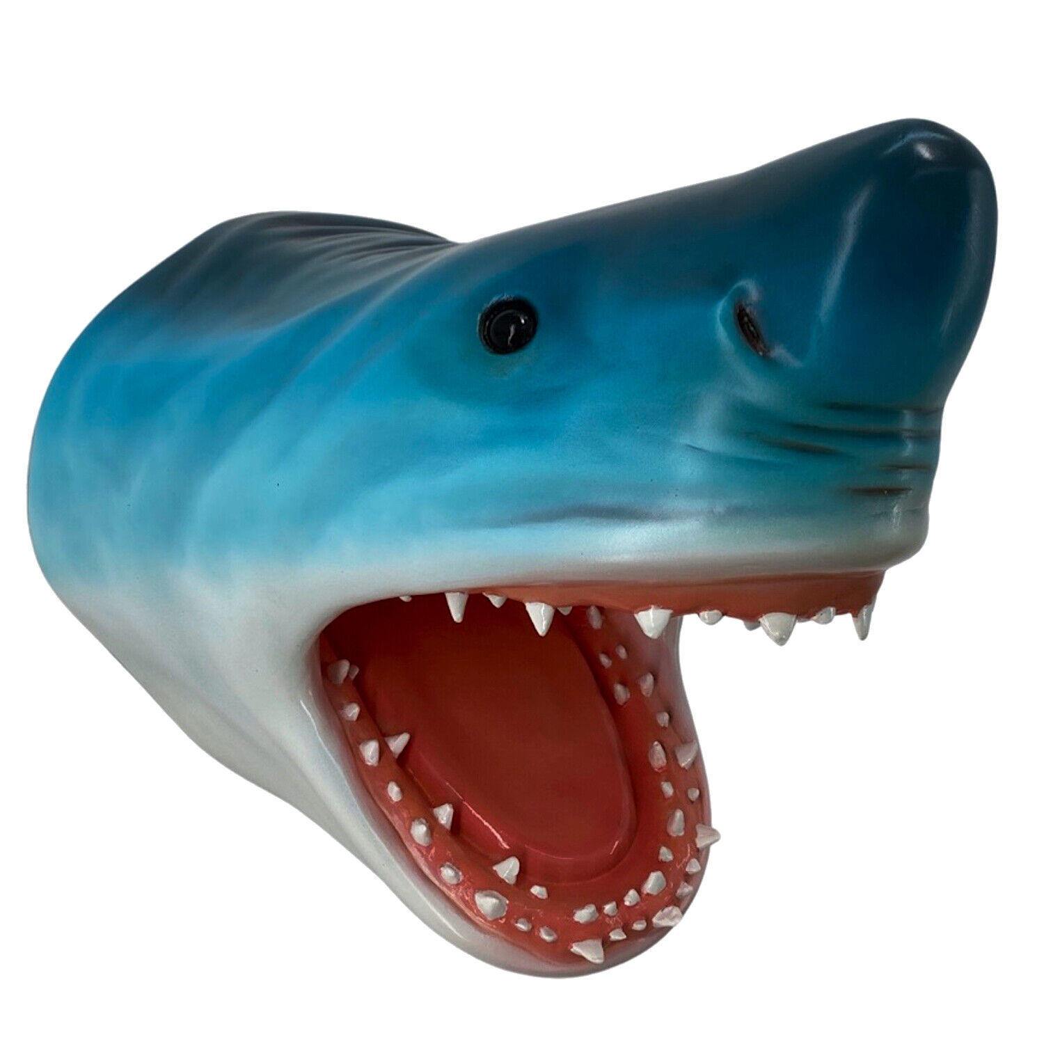 Wall Mounted Great White Shark Trophy Head 22 Inches