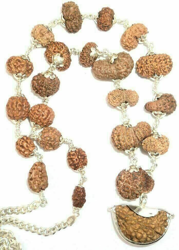 Rudraksh Rudraksha 1 - 21 Mukhi Beads Indrakshi Mala Necklace Face Rosary