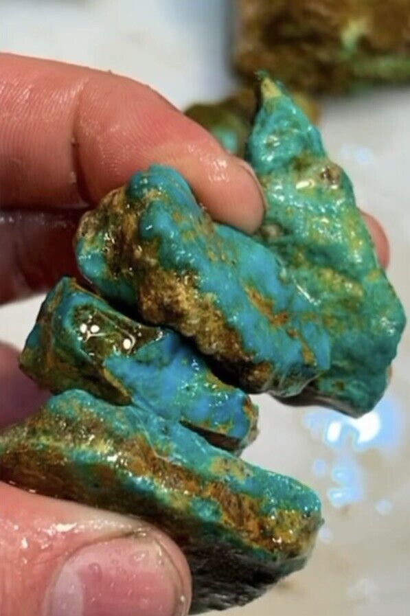 Crazy grade: 14.5 LBS  of Phoenix Rising Turquoise Get what you see