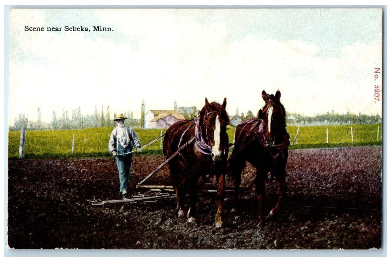 c1910 Man Horse Farming Exterior Scene Sebeka Minnesota Vintage Antique Postcard