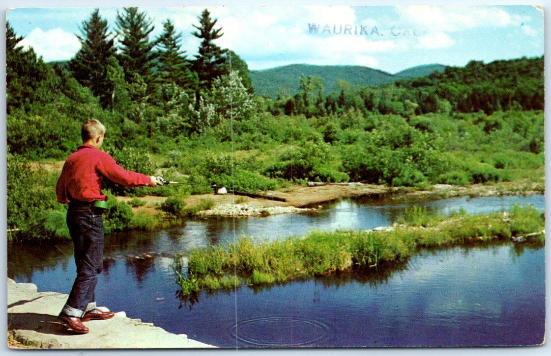Posted Greeting Postcard - Fishing Scene - USA, North America