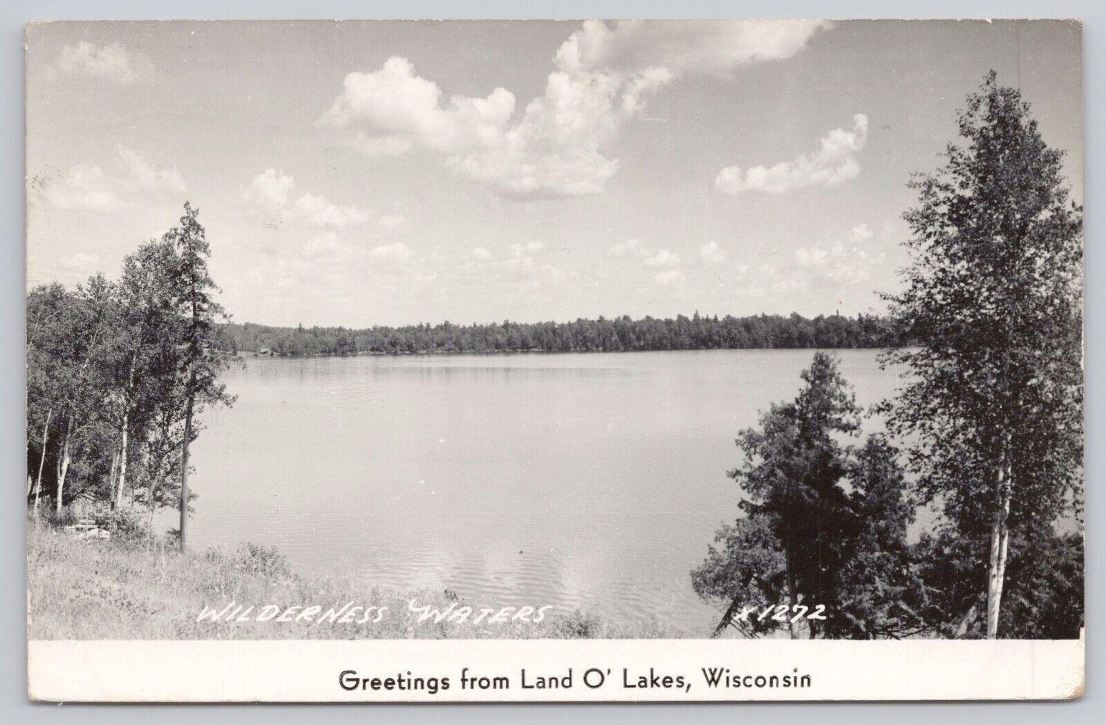 Land O' Lakes Wisconsin Greetings Wilderness Waters VTG RPPC Real Photo Postcard