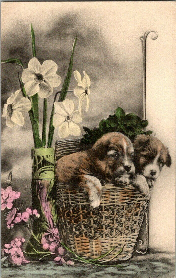 Antique Dog Postcard Two Cute Puppies in a Basket - Stunning Hand Colored Tinted