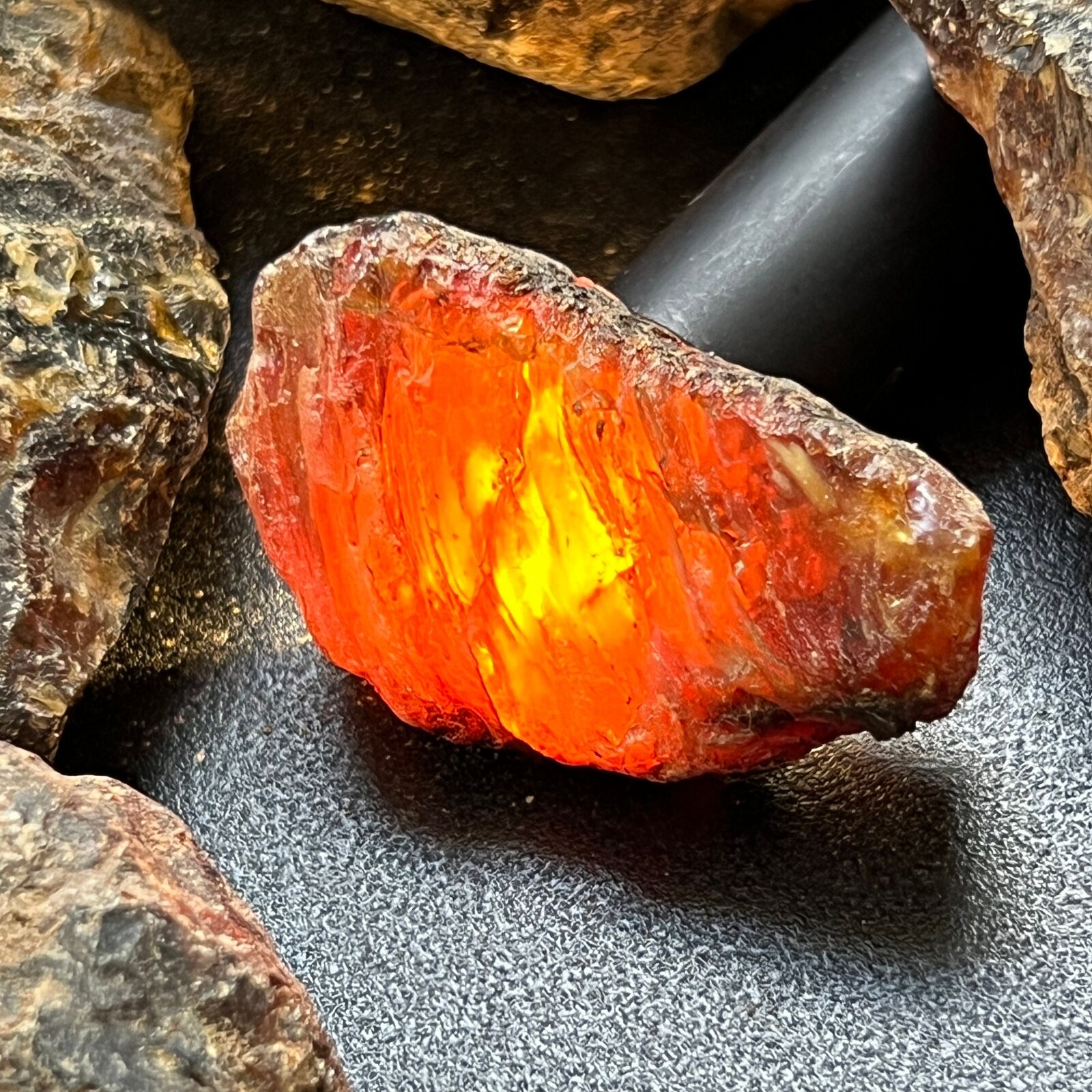 Black Amber (1 LB) Raw Natural Specimen Stone Rough Unpolished Rocks