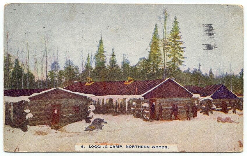 Logging Camp Northern Woods c1911 Postcard