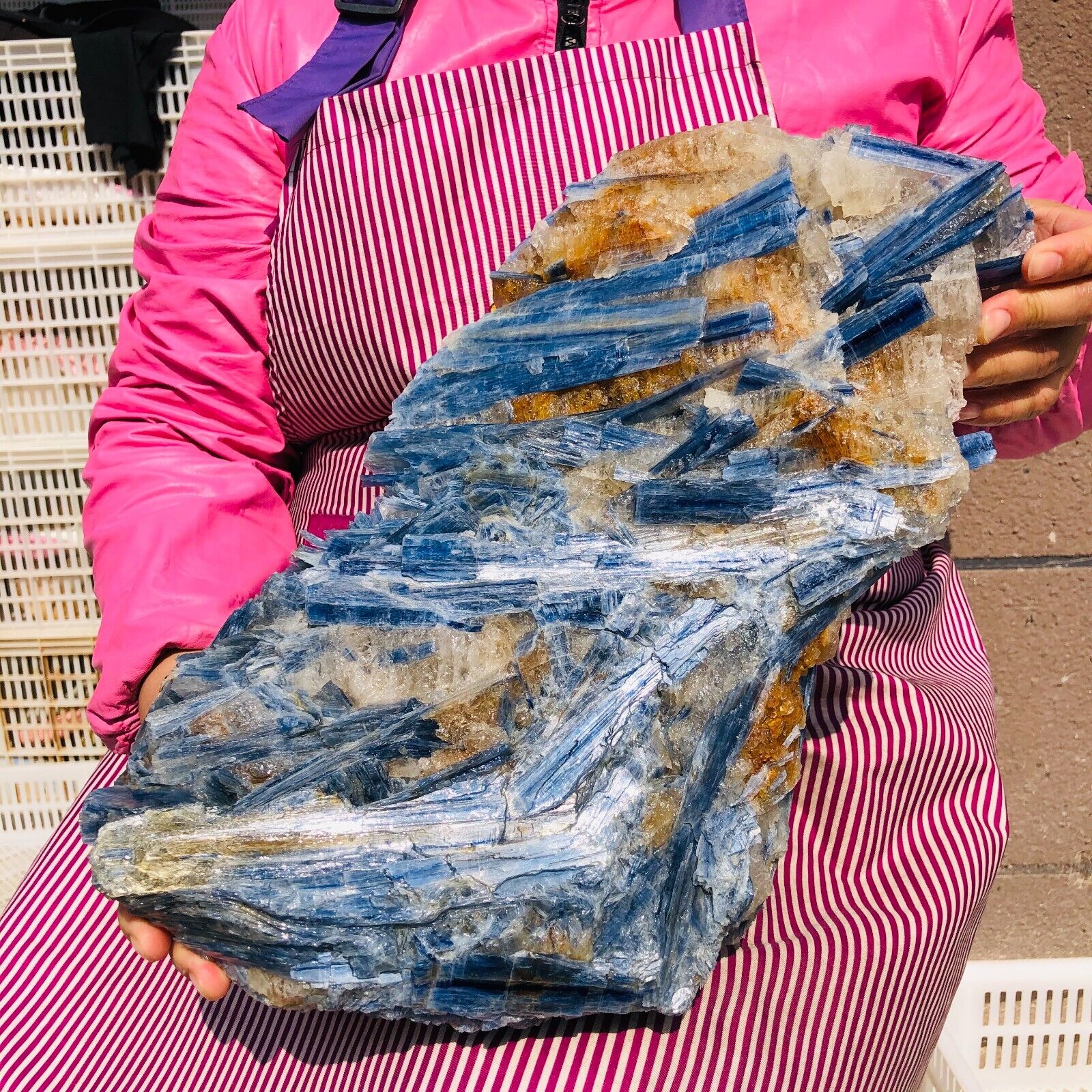 23.76LB Natural Blue Crystal Kyanite Rough Gem mineral Specimen Healing 630