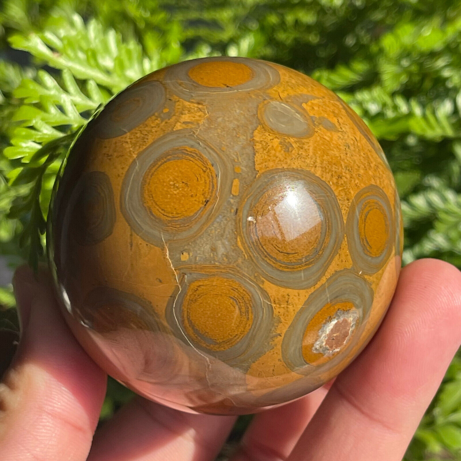 TOP 455G Natural Peacock Eye Stone Sphere ball crystal  Healing A509