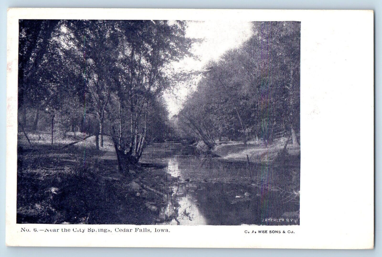 Cedar Falls Iowa IA Postcard Near City Springs Exterior View Lake c1905 Vintage