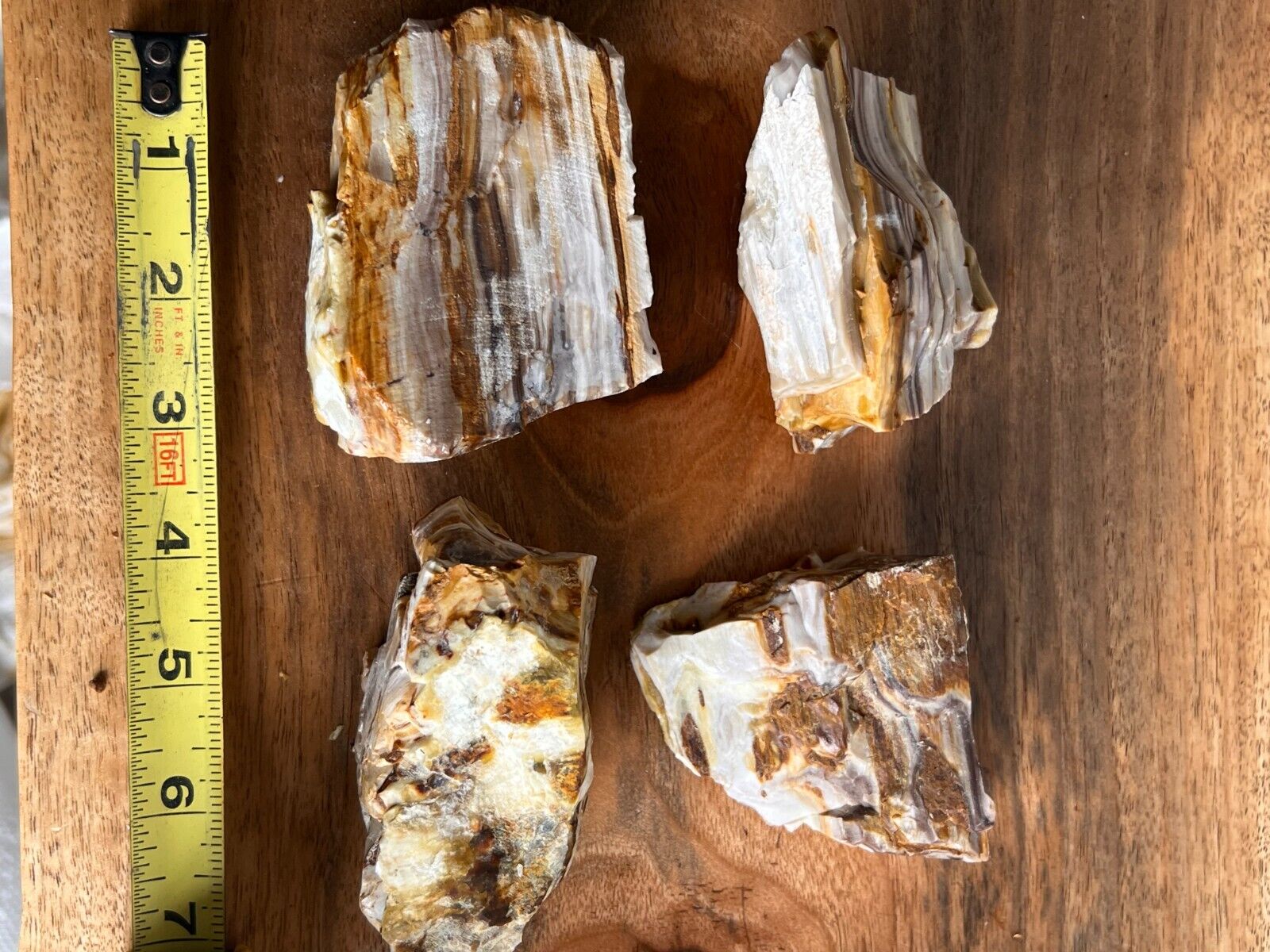 petrified wood opalized agatized 4 piece raw decor collection red white 1lb 10oz