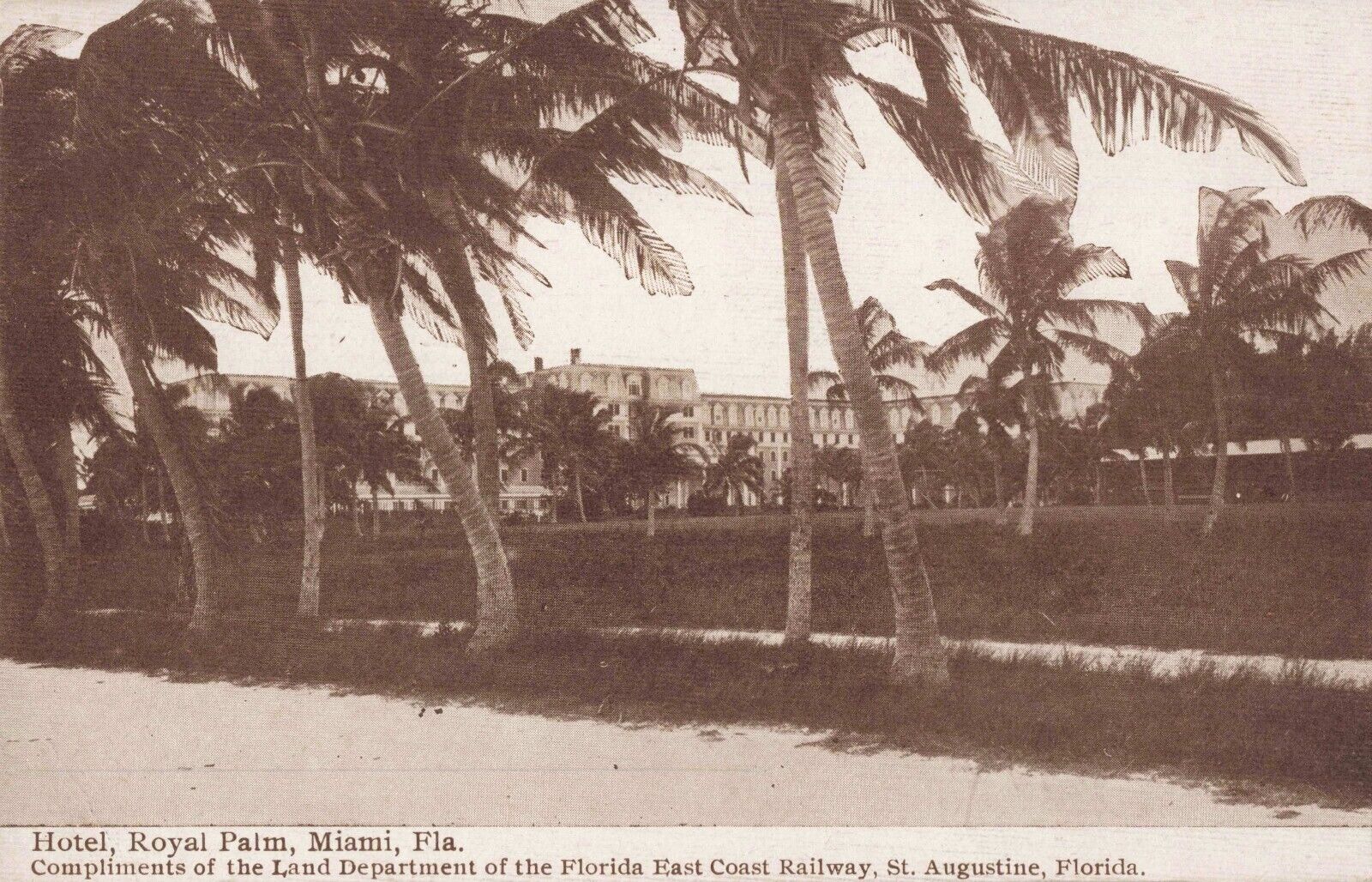 Hotel Royal Palm Miami Florida FL Advertising East Coast Railway c1910 Postcard