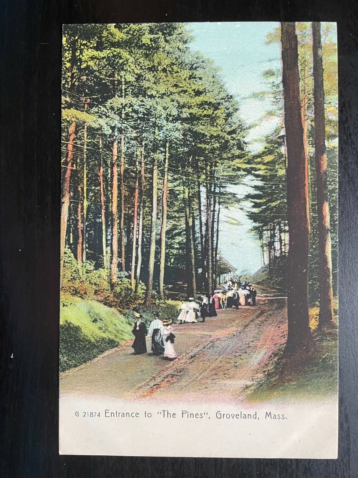 Vintage Postcard 1901-1907 Entrance to \