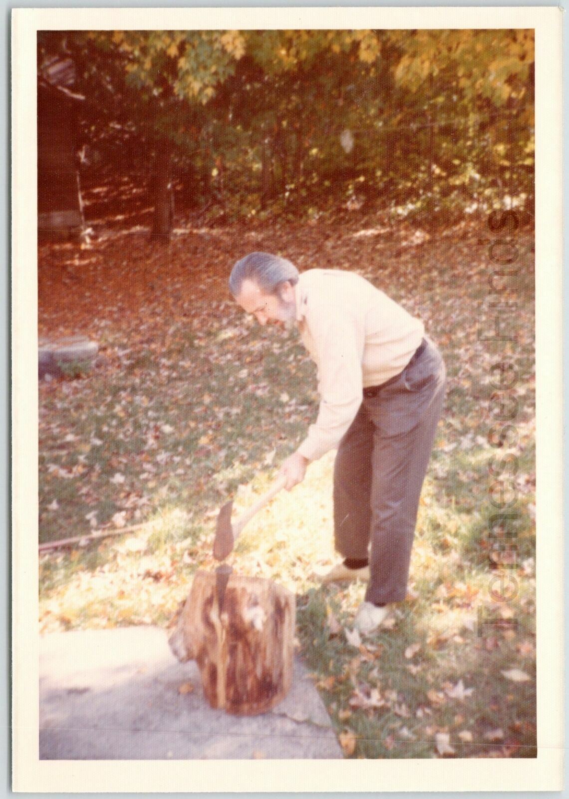 Older Man Chopping Splitting Wood w/ Axe Fall Time Photo Picture Leaves Vintsge