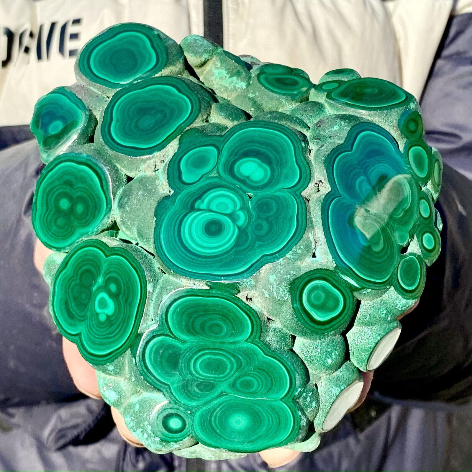 2.8LB Natural Glossy Malachite Cat Eye Transparent Cluster Rough Mineral Sample