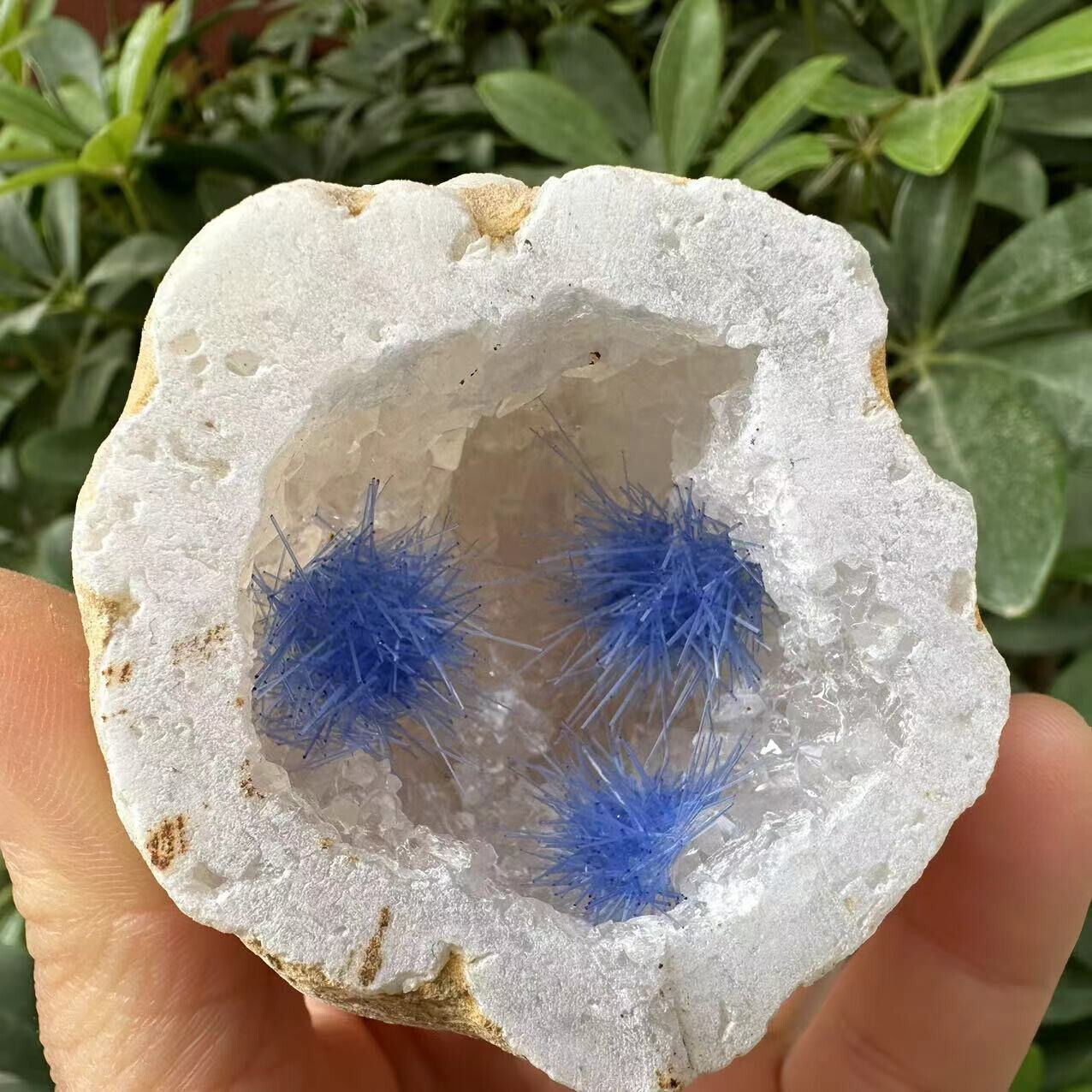 1pc  Natural Agate Geode Quartz Crystal Energy Mineral Specimen Reiki Decor