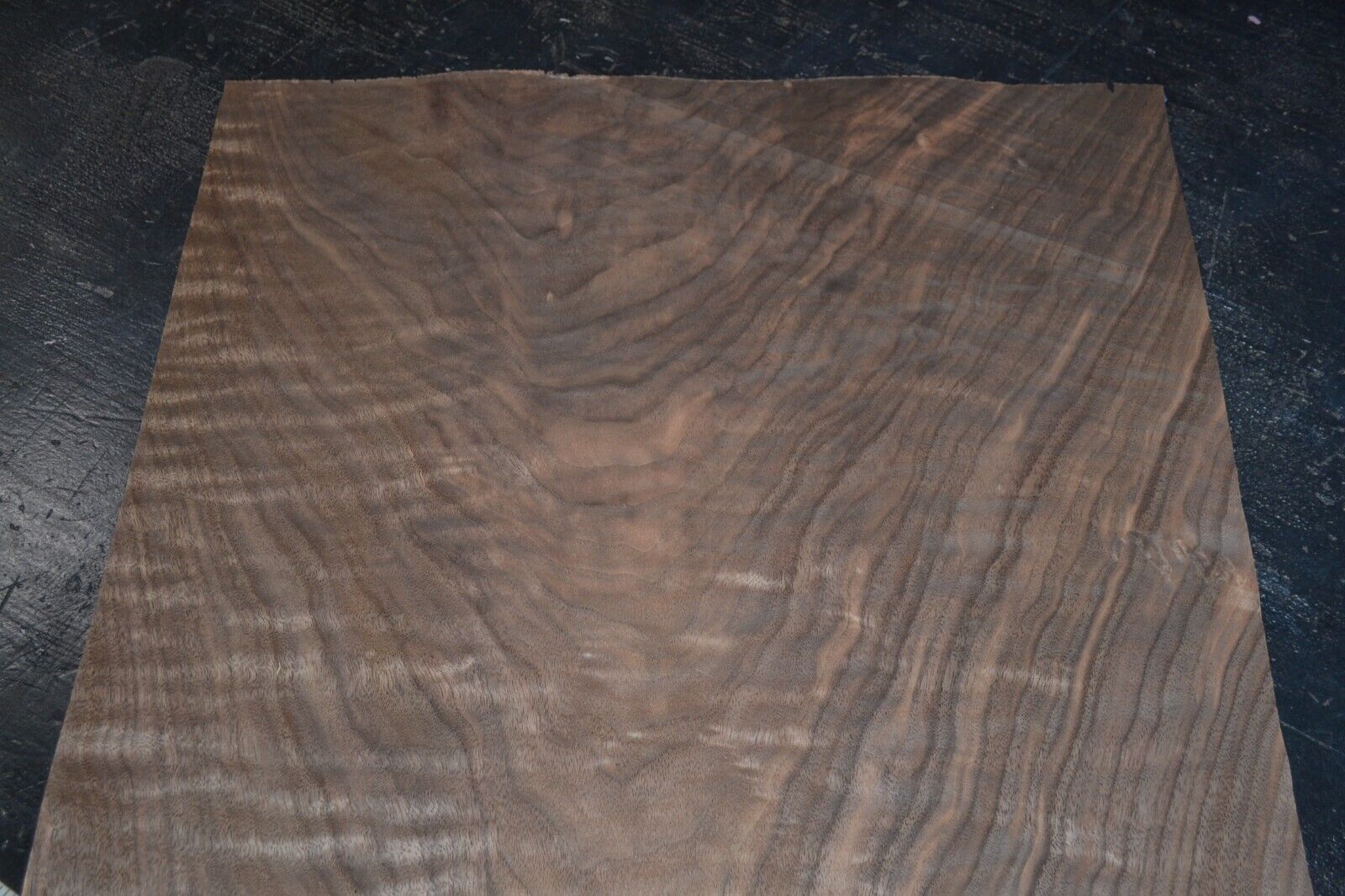 Walnut Raw Wood Veneer Sheet 18 x 28 inches 1/42nd thick                 4669-23