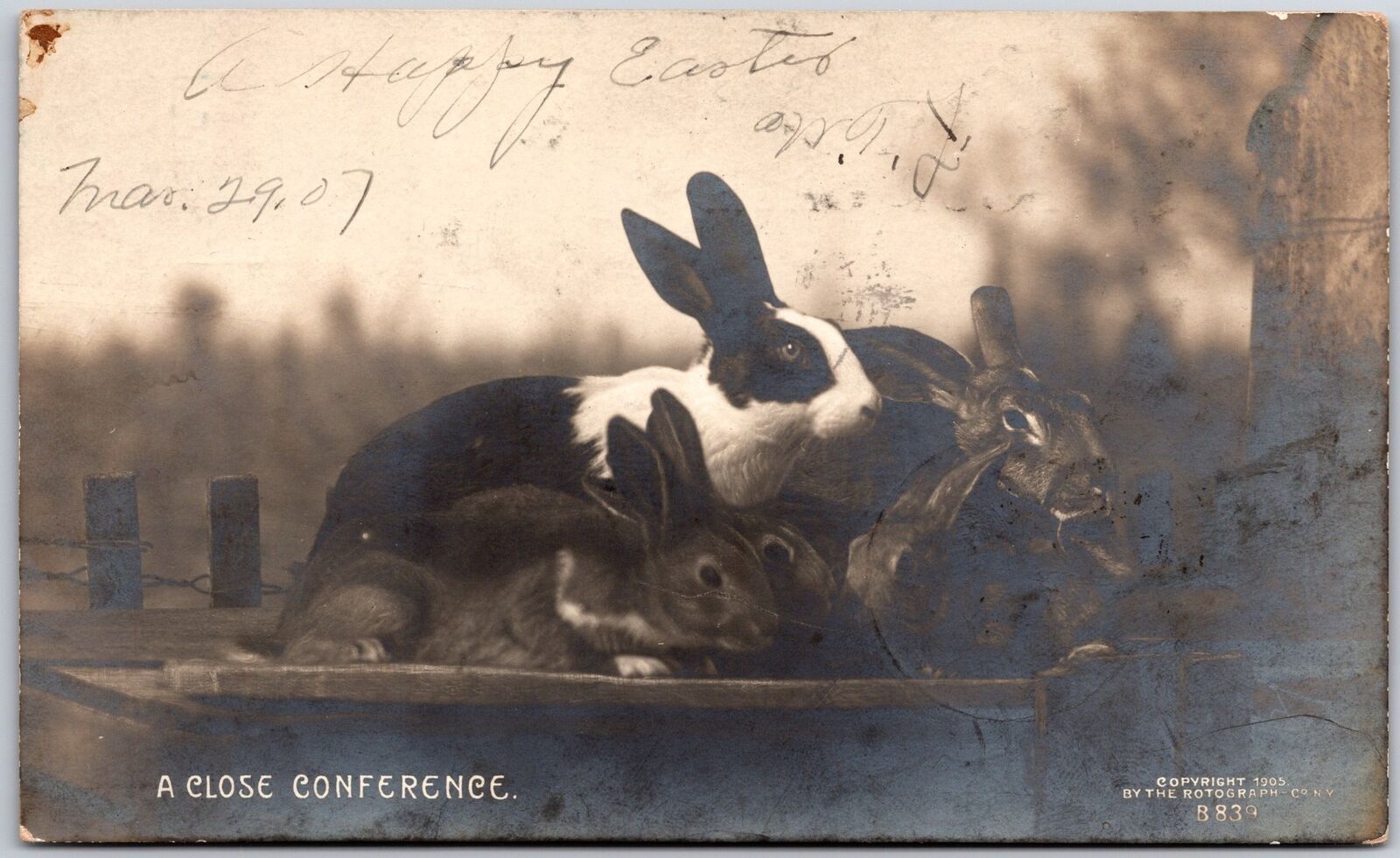 1907 A Close Conference A Happy Easter Rabbits RPPC Real Photo Posted Postcard
