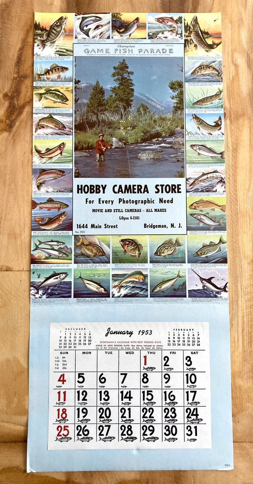 1952 HOBBY CAMERA STORE FISHING LITHOGRAPH w/ CALENDAR FIELD & STREAM GAME FISH