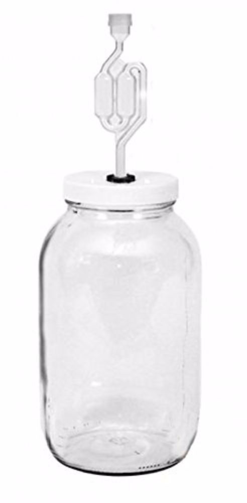 One Gallon Wide Mouth Jar with Lid and Twin Bubble Airlock