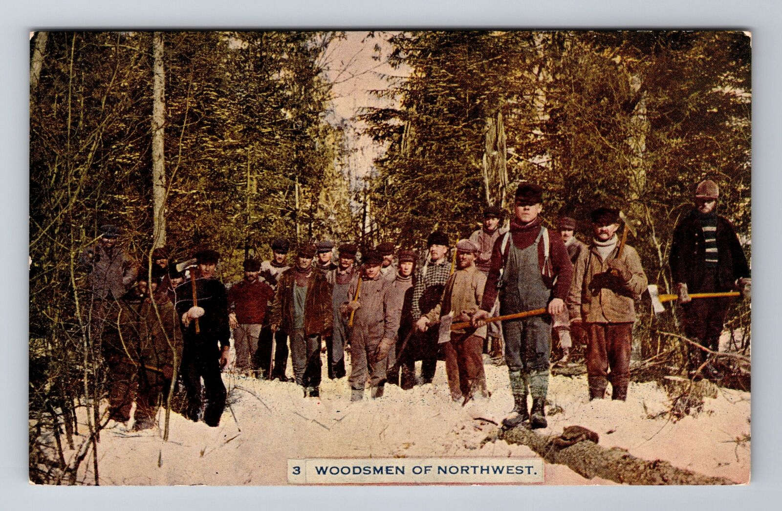 Landscape -Lumberjacks of Northwest, Antique Vintage Souvenir Postcard