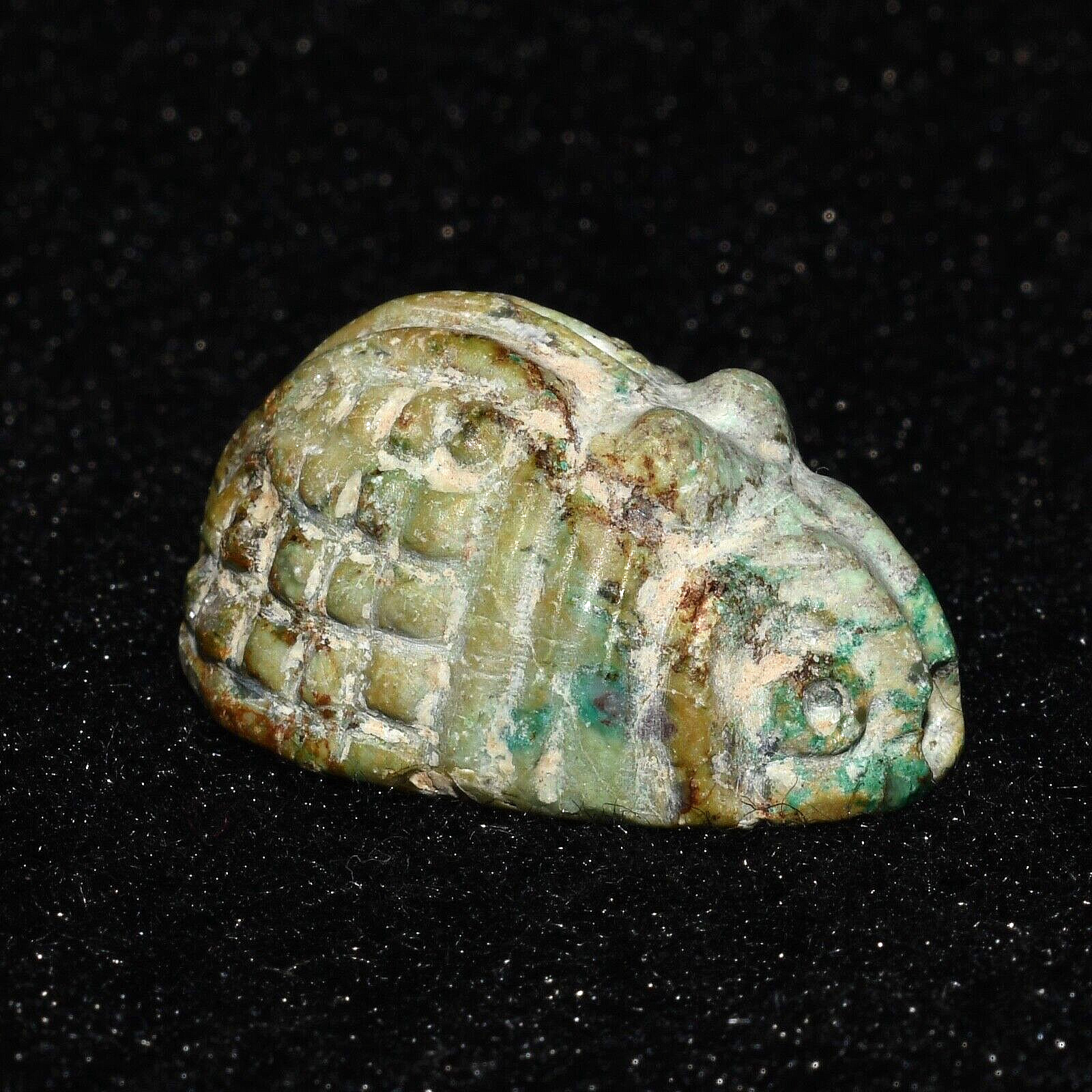 Genuine Ancient Egyptian Turquoise Stone Insect Figurine Circa 664–332 B.C.