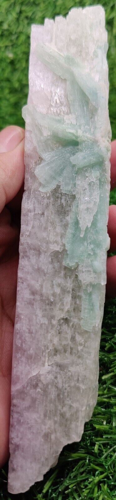 Beautiful Kunzite Specimen Assoicated with Blue Tourmaline from Afghanistan