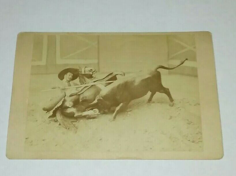 BULL FIGHTER ON HORSE GETTING MAULED CABINET PHOTO CDV 1880