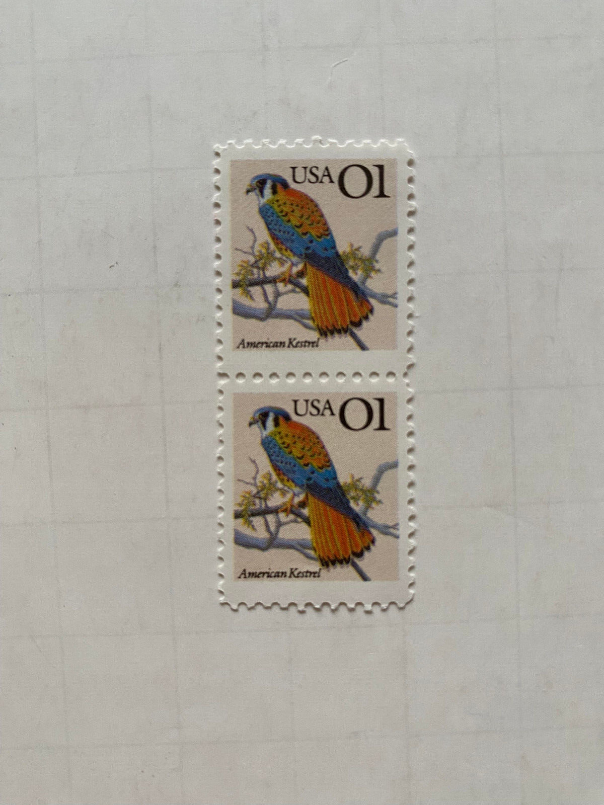 2 stamps : USA 1-Cent American Kestrel Bird USPS Postage Collect US unused NEW
